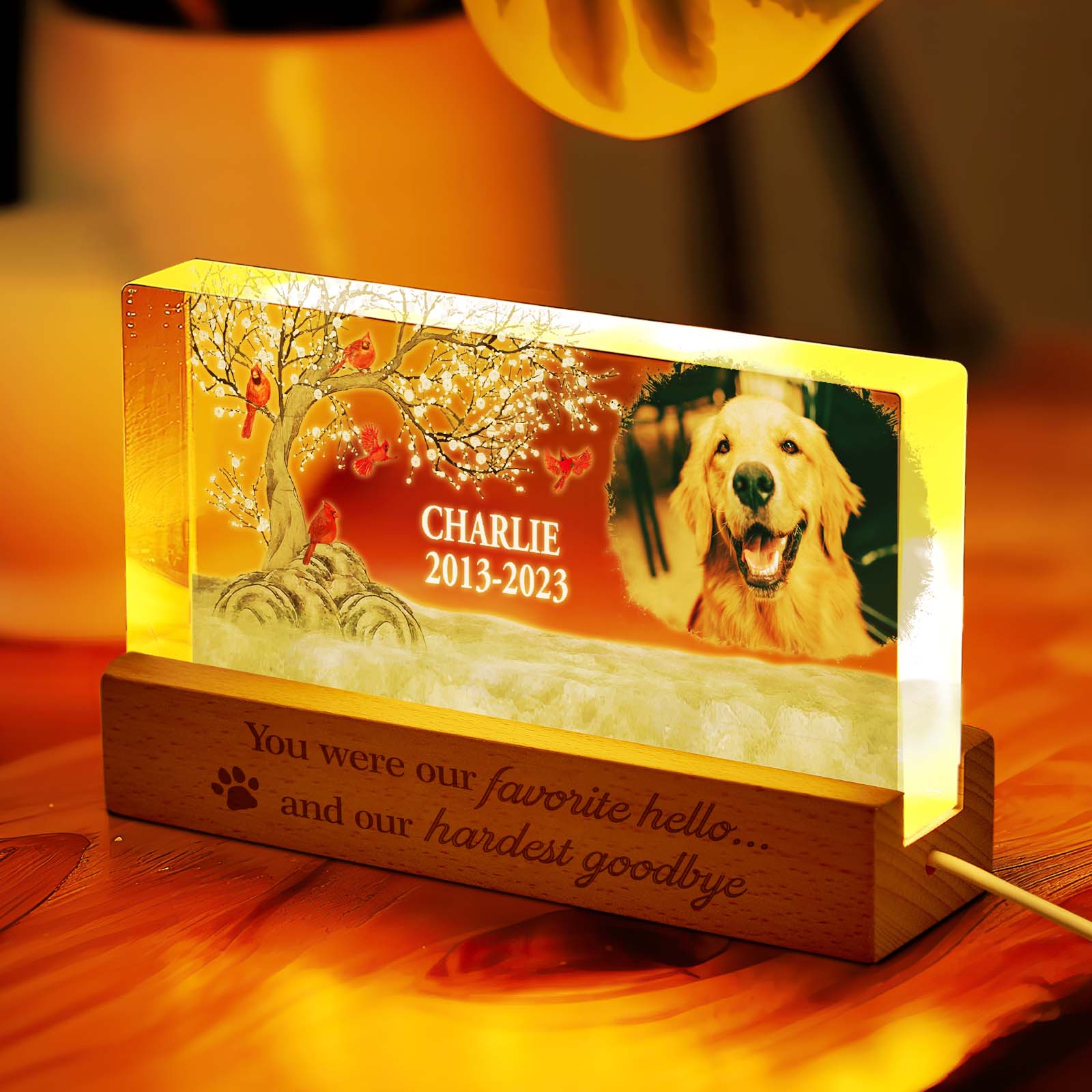 Personalized Pet Night Light
