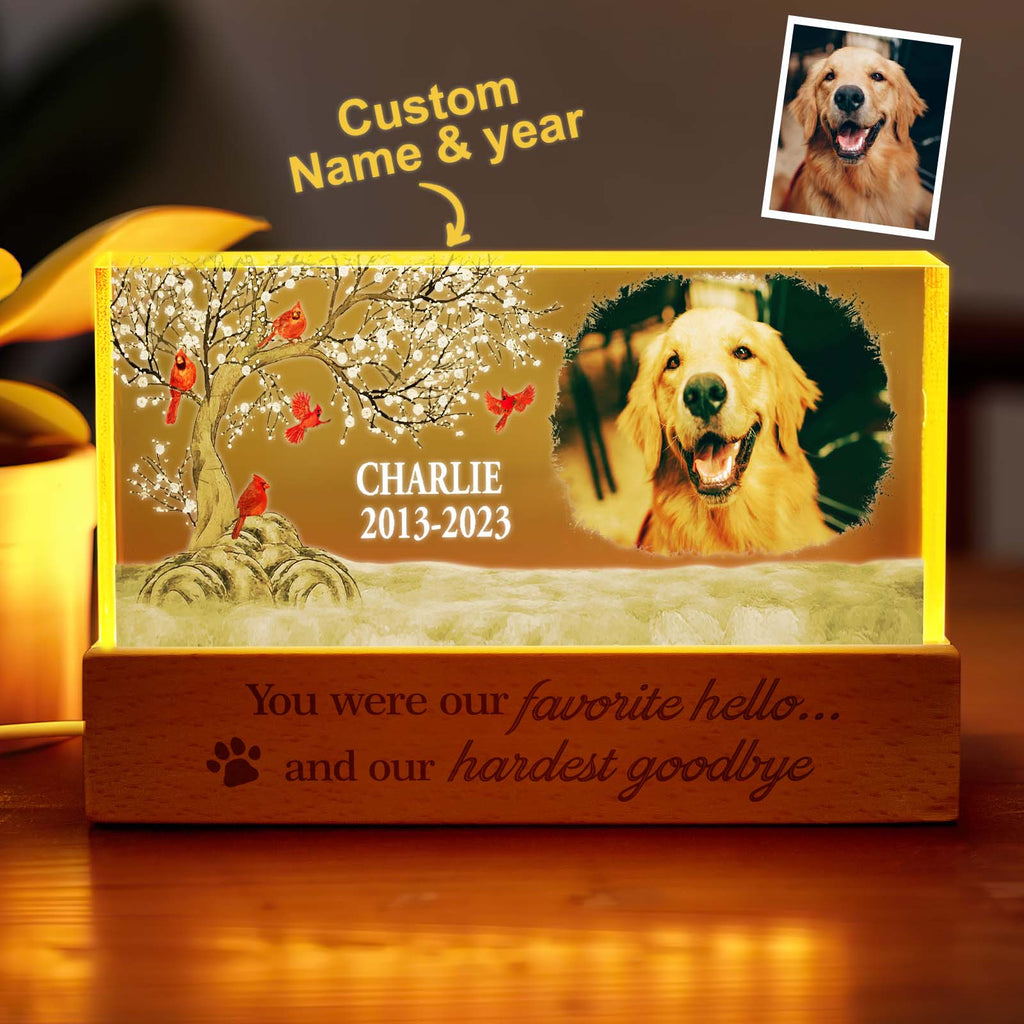Personalized Pet Night Light