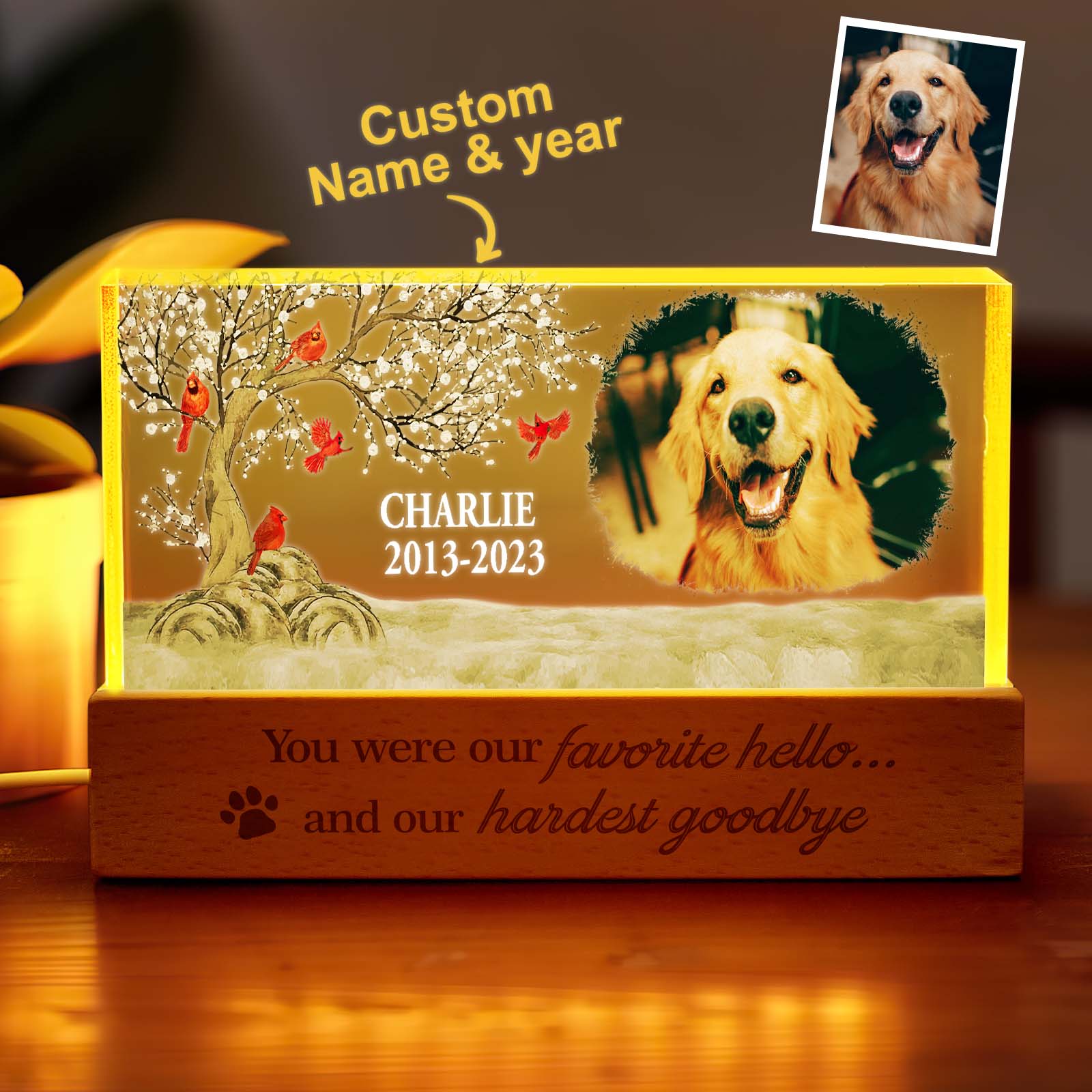 Personalized Pet Night Light
