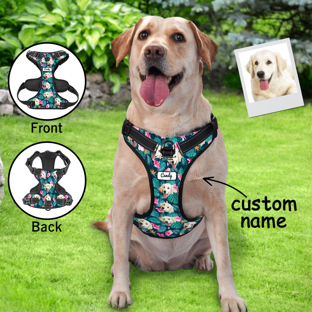 Hawaiian Dog Harness