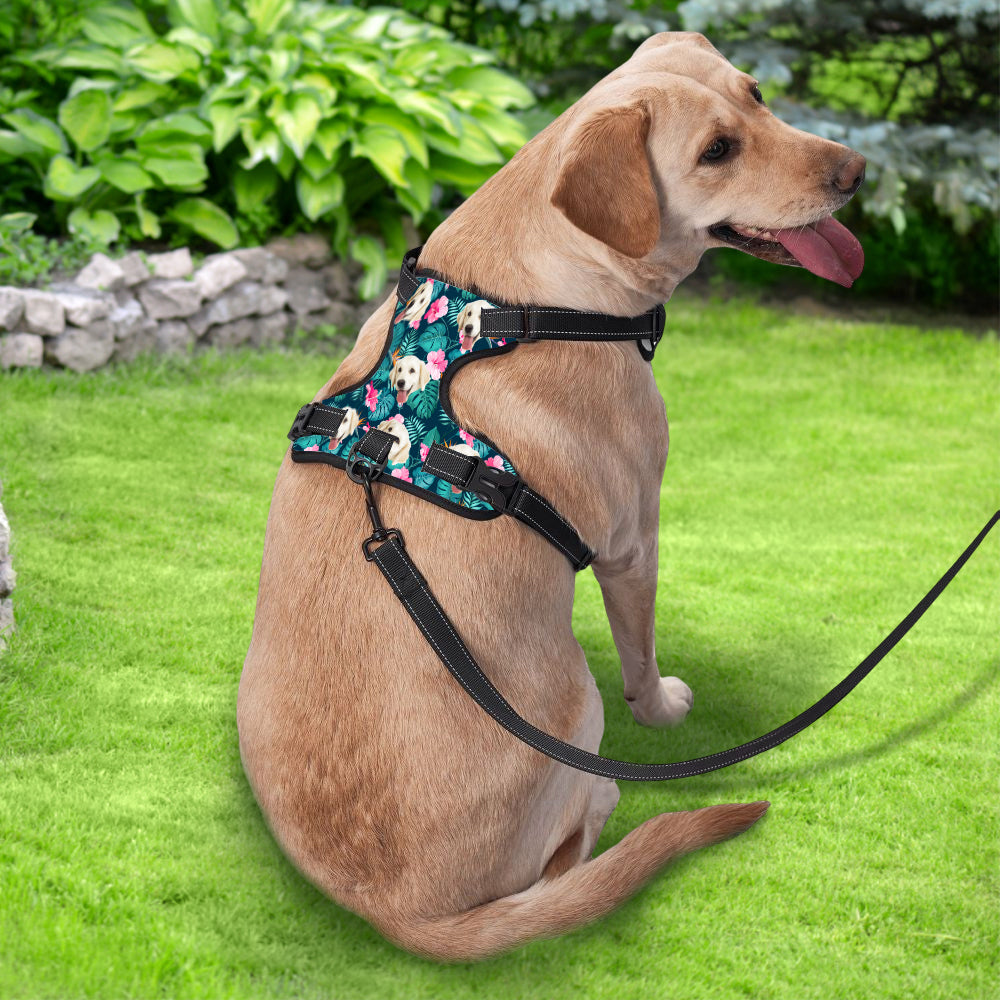 Hawaiian Dog Harness