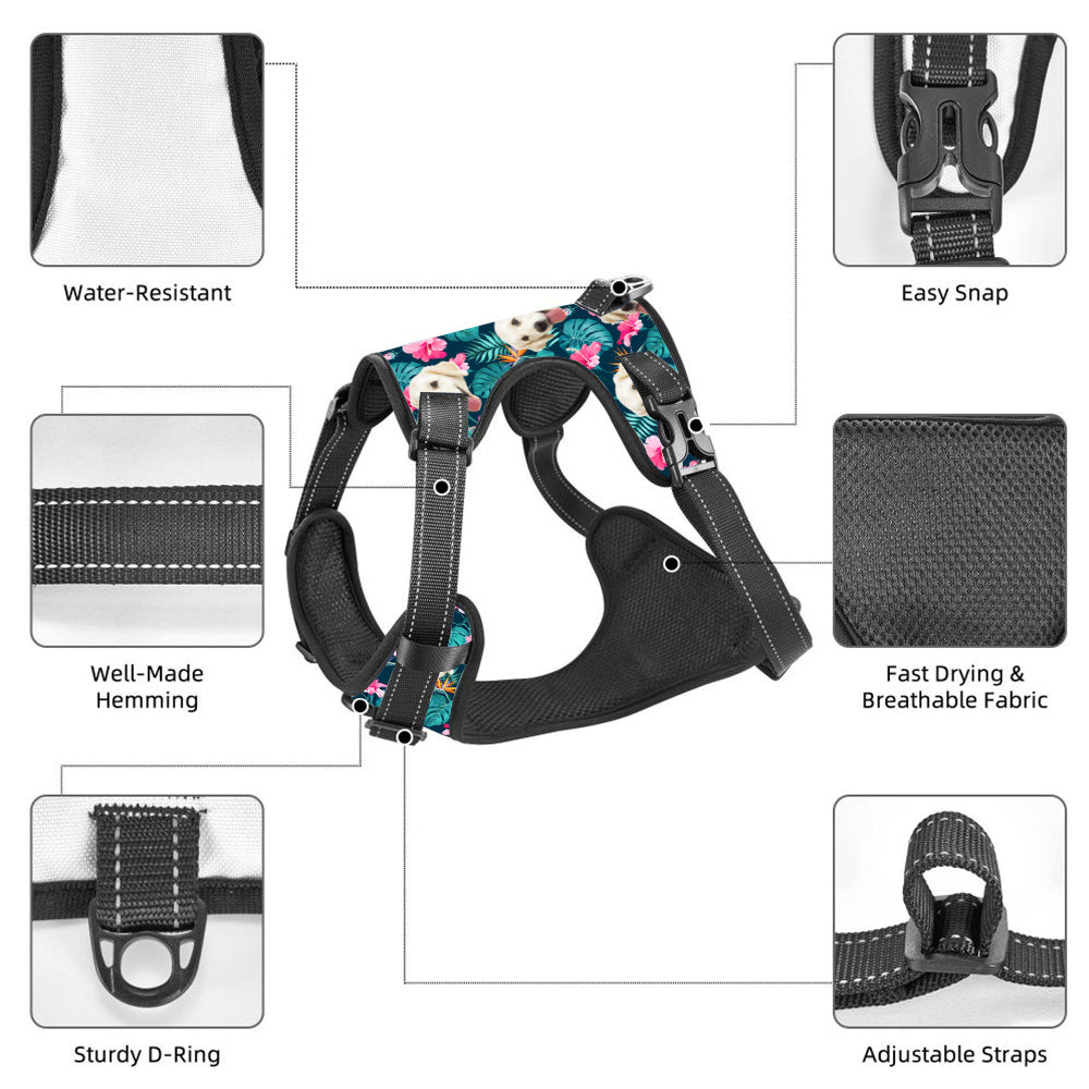 Hawaiian Dog Harness