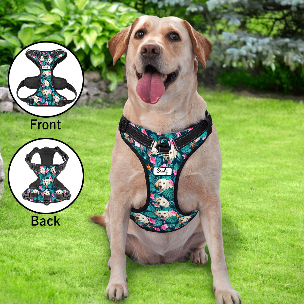 Hawaiian Dog Harness