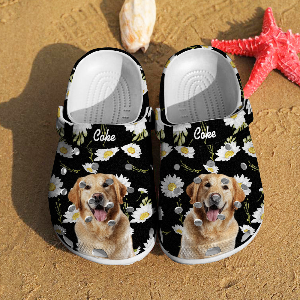 Personalized Pet Clogs
