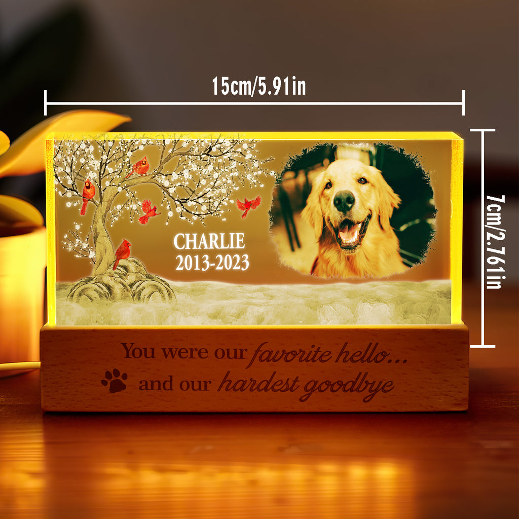 Personalized Pet Night Light