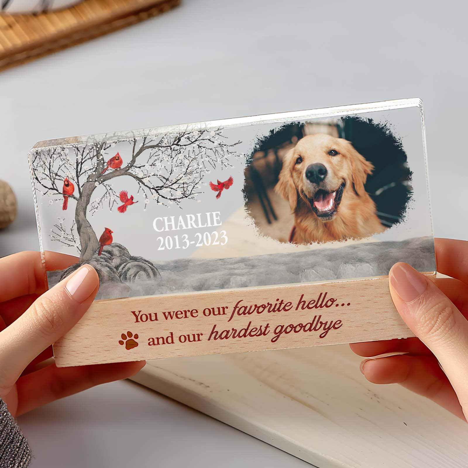 Personalized Pet Night Light