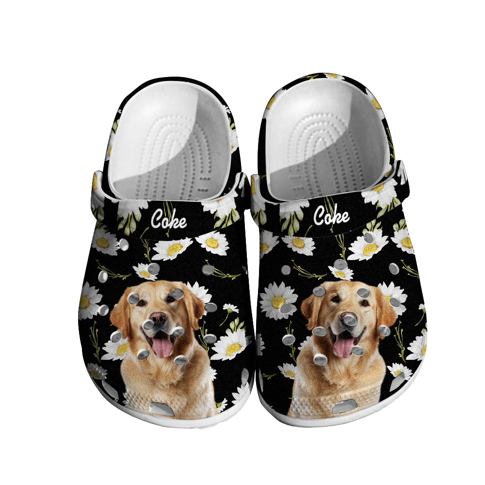 Personalized Pet Clogs